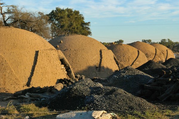 ¿Cómo están cambiando las plataformas educativas digitales el aprendizaje en los países en desarrollo?
